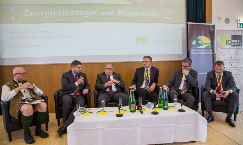 Energiestrategie und Bioenergie