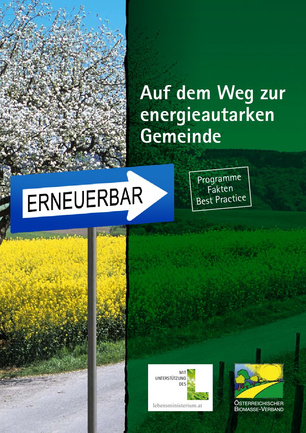 2011_08_Energieautarke_Gemeinde_