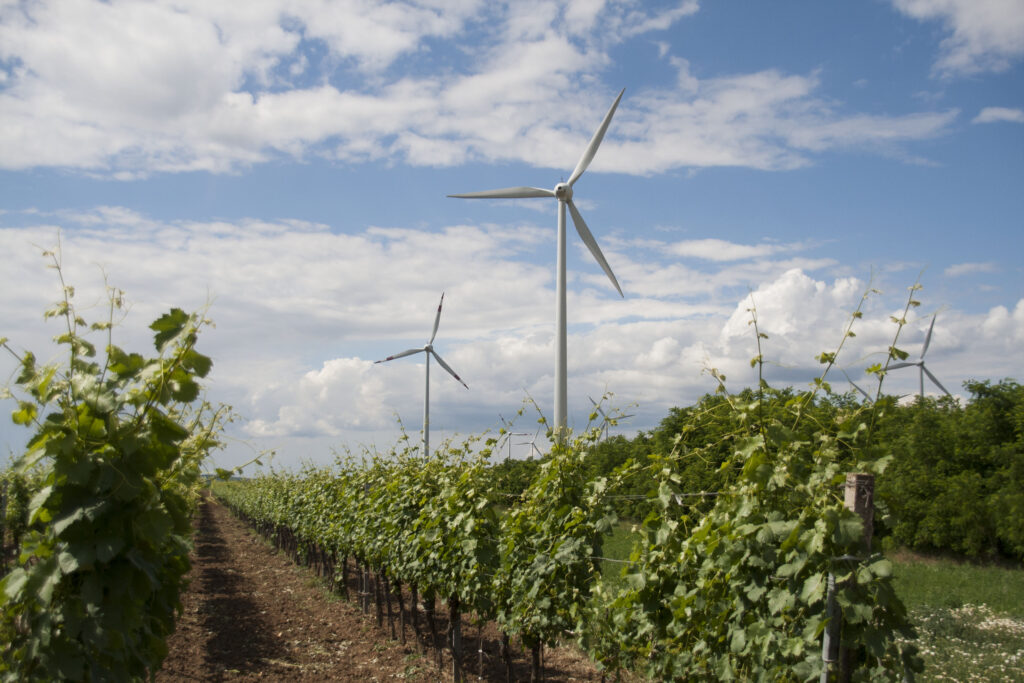 Windkraftanlage im Bezirk Neusiedl am See