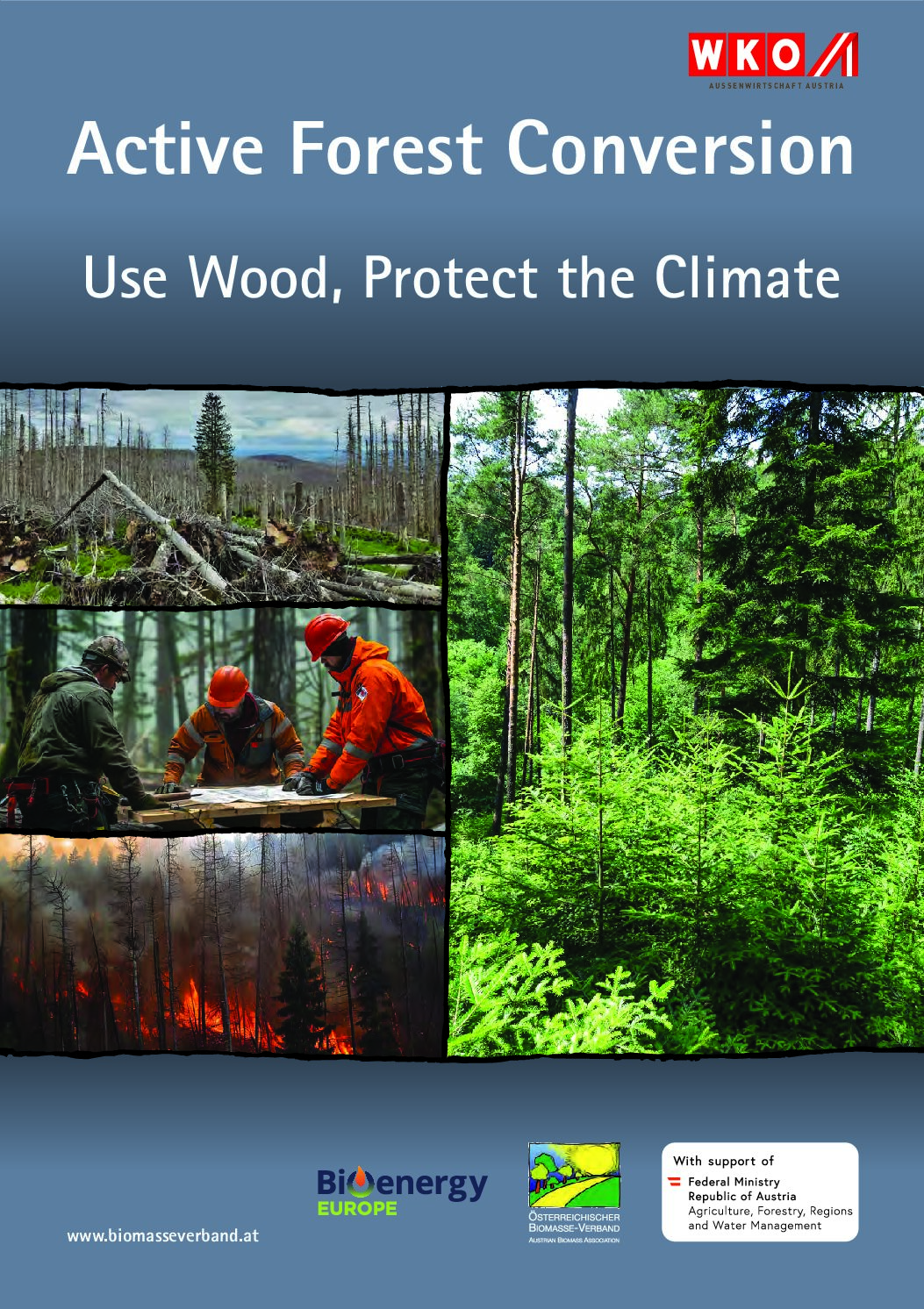 Active Forest Conversion