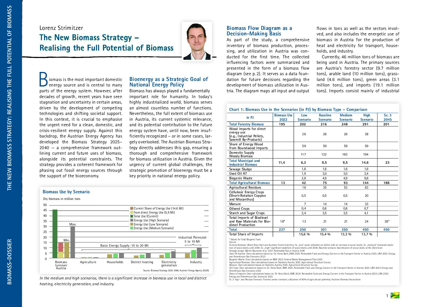 Austria_biomass_strategy_englisch