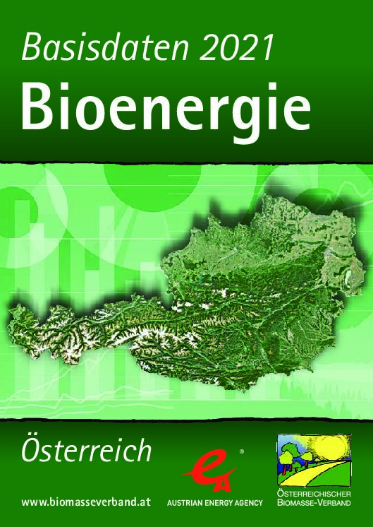 Basisdaten-Bioenergie-2021