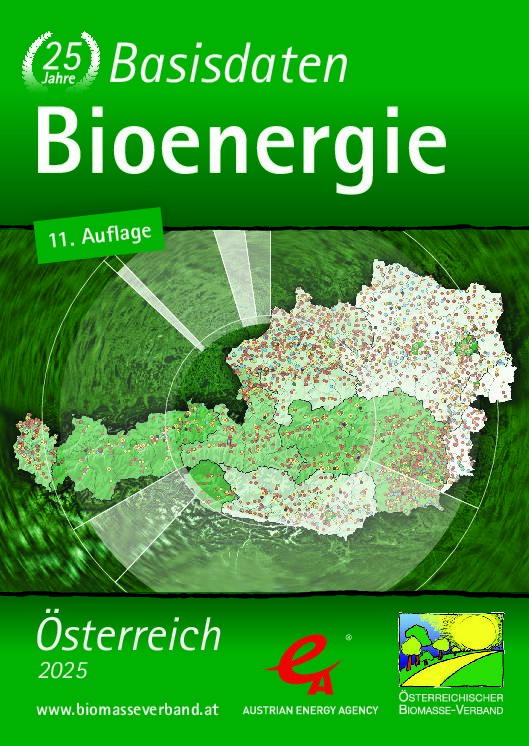 Basisdaten Bioenergie 2025