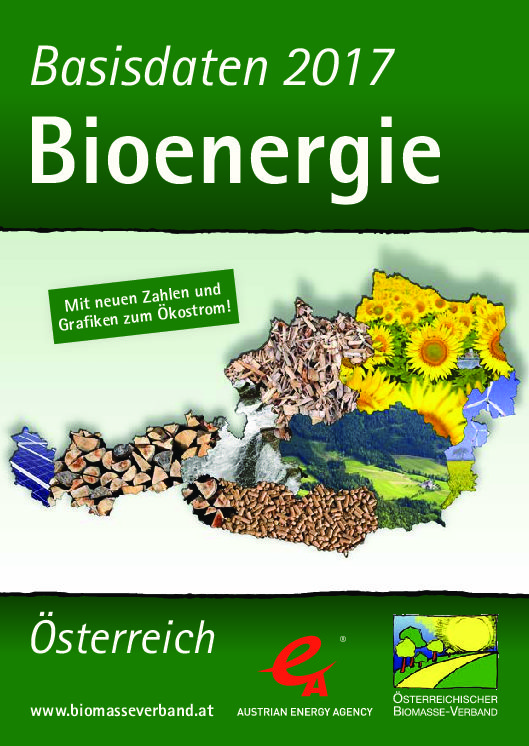 Basisdaten Bioenergie 2017