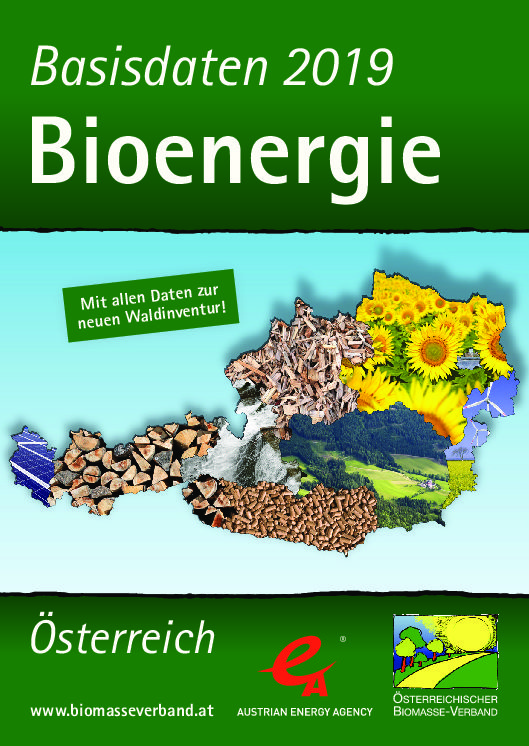 Basisdaten Bioenergie 2019