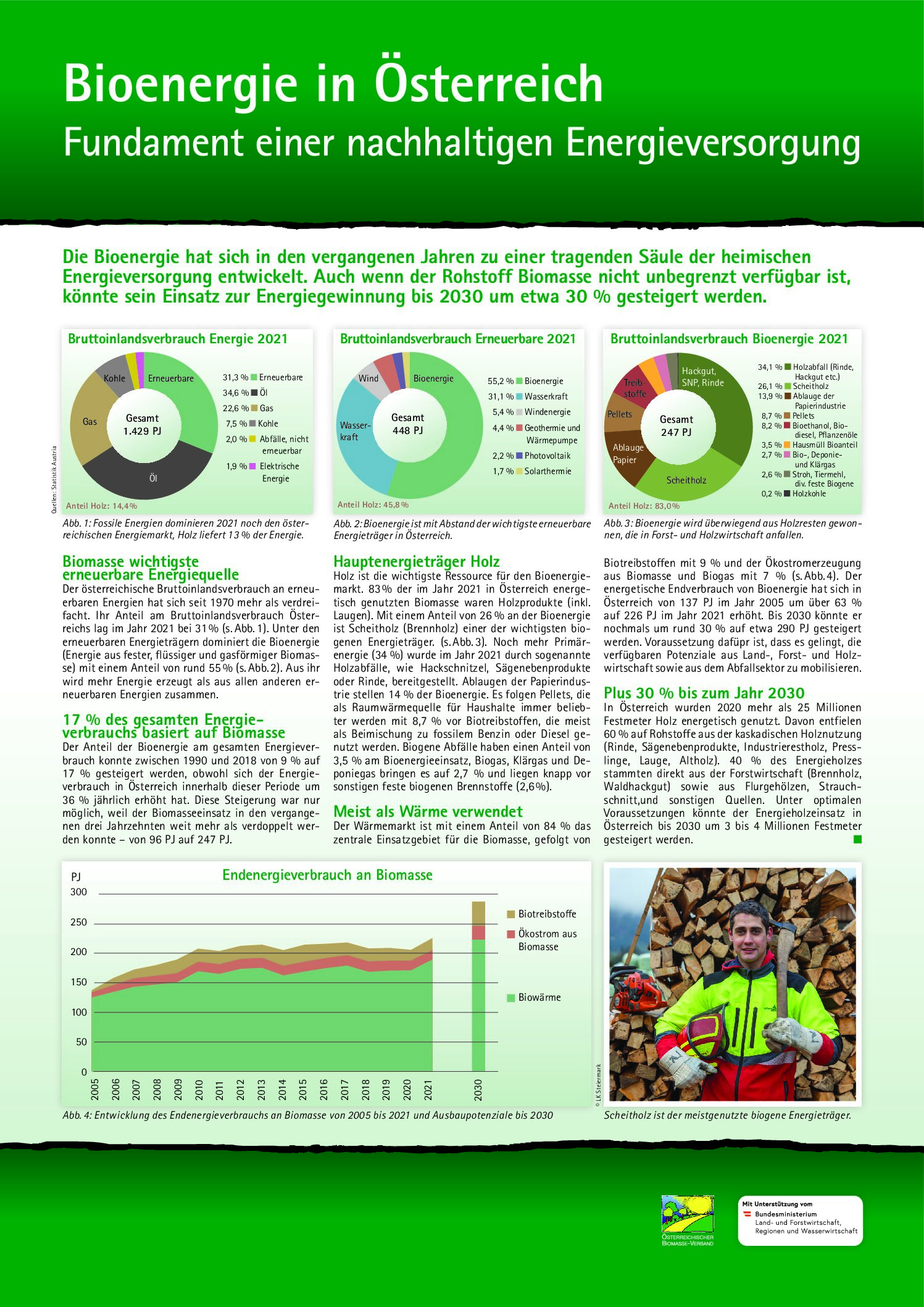 Bioenergie in Österreich