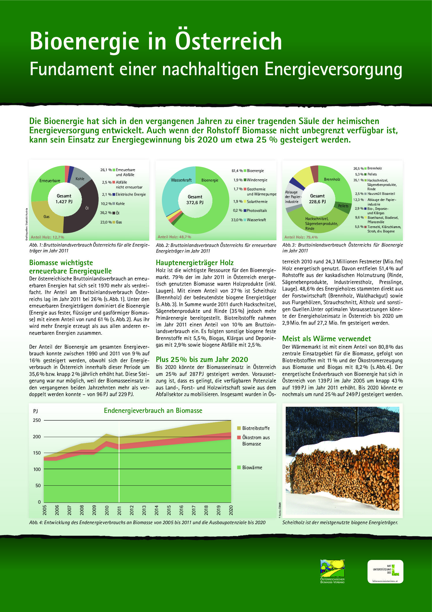 Bioenergie in Österreich