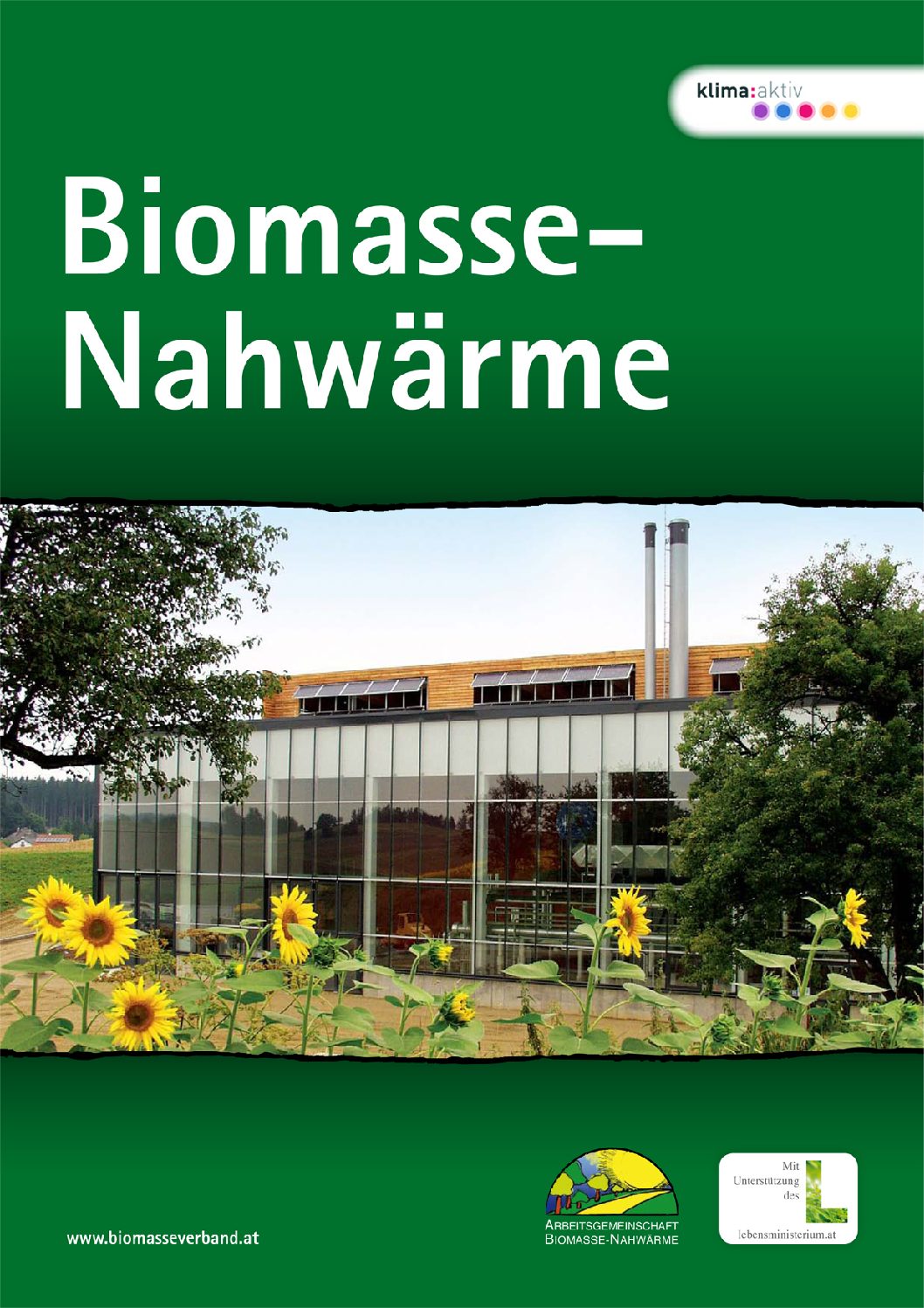 Biomasse-Nahwärme