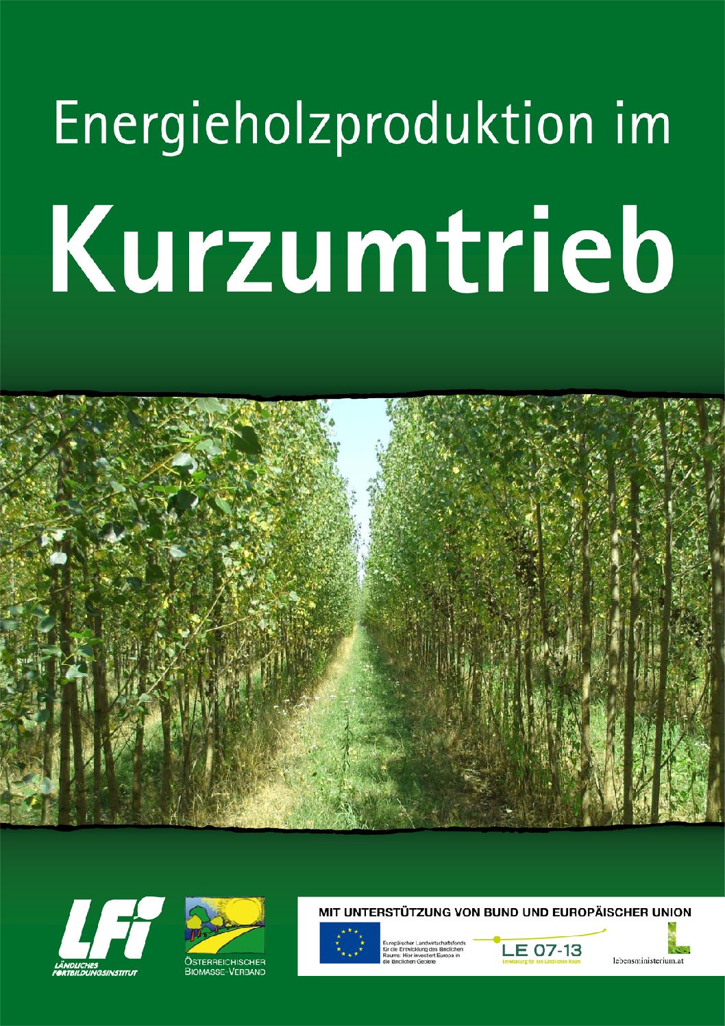 Energieholzproduktion im Kurzumtrieb