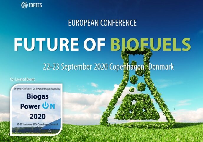 Future of Biofuels 2020