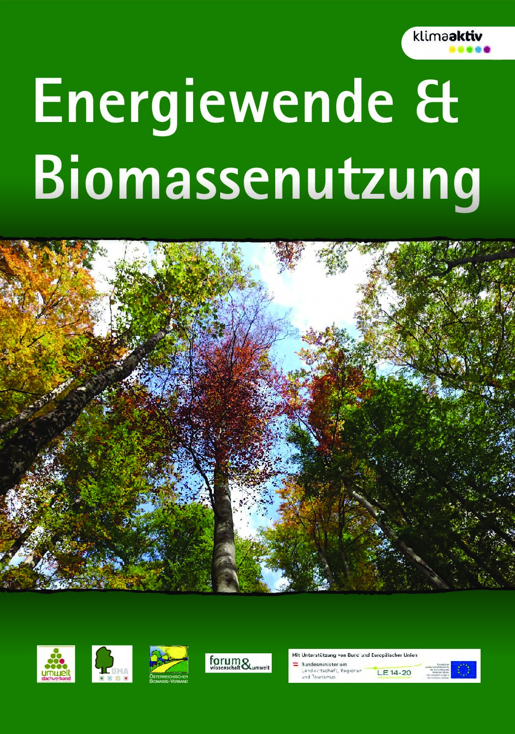 Folder Energiewende_Biomassenutzung