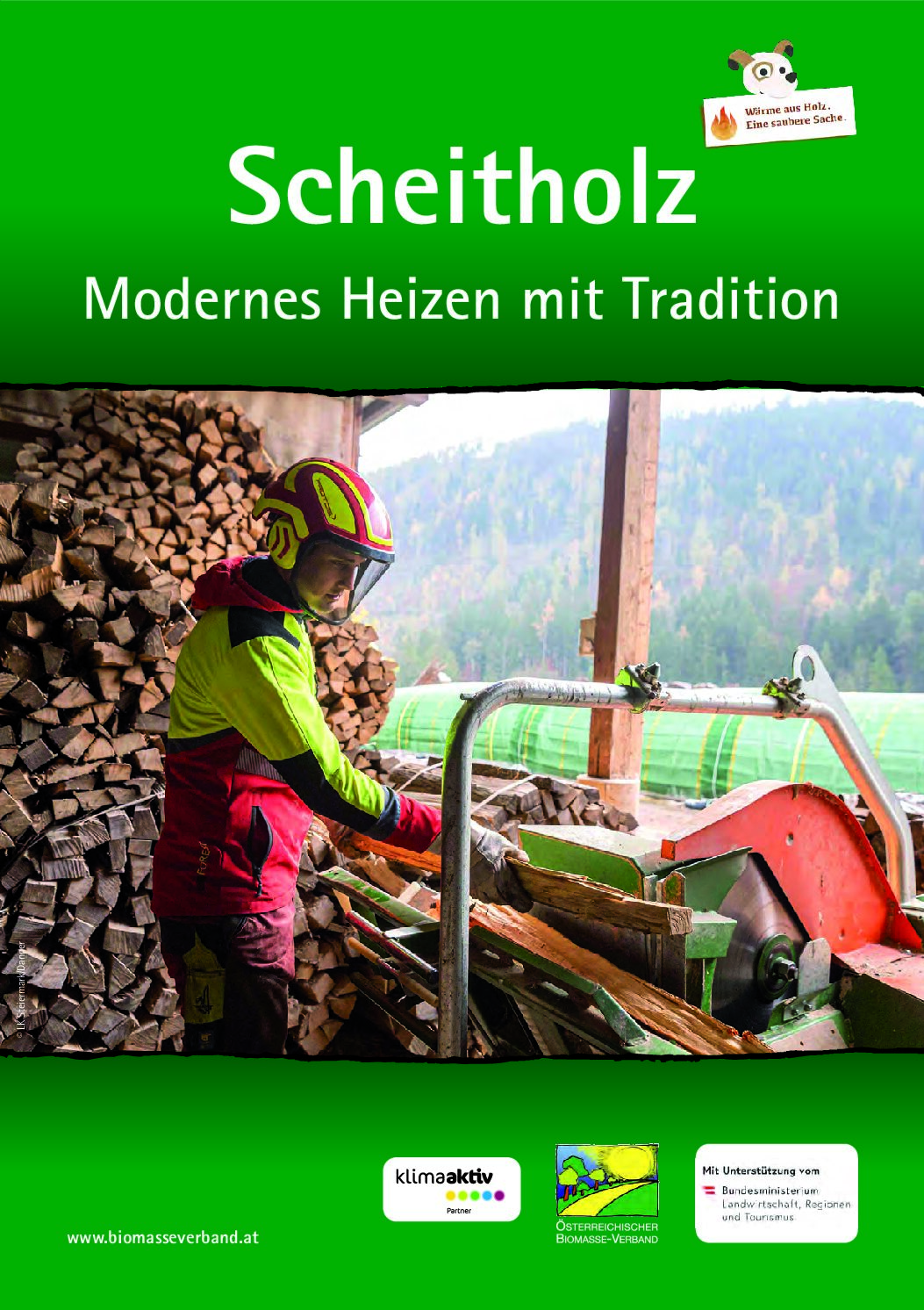 Folder Scheitholz_ENDE