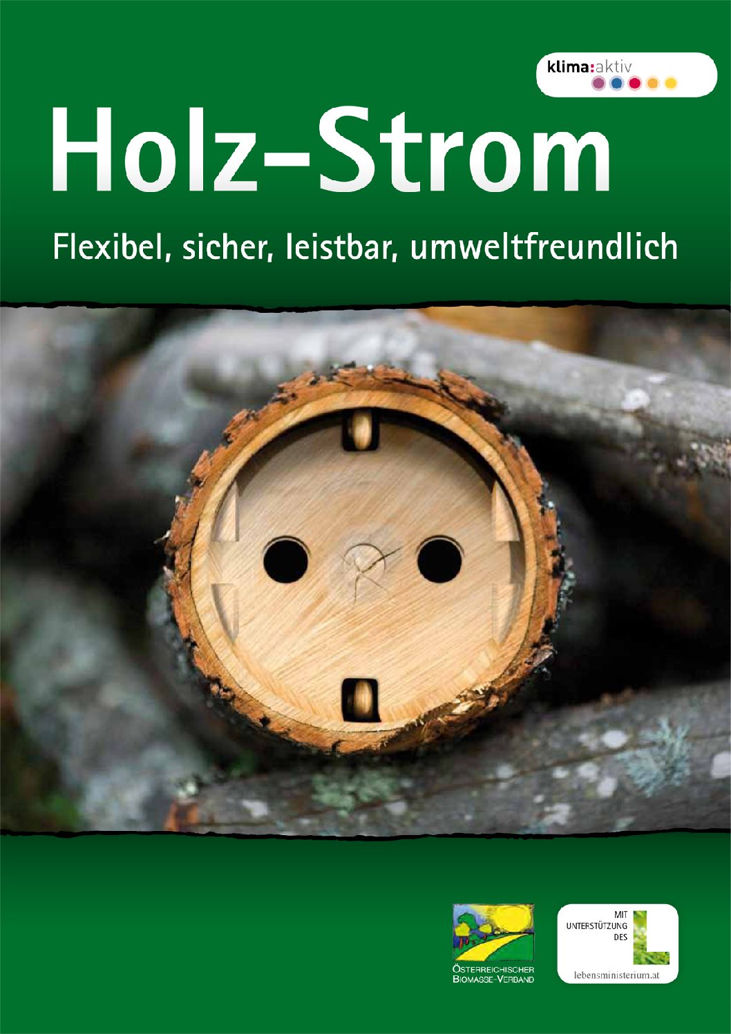 Holz-Strom