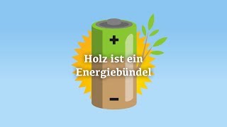 Thumbnail Holz ist ein Energiebündel