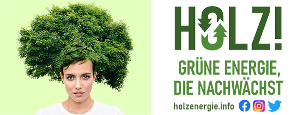 Banner / Holzenergie.info