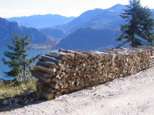 Holzstoß am Attersee, Energieholz