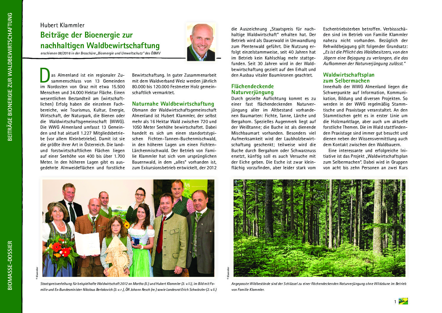 Beiträge der Bioenergie zur nachhaltigen Waldbewirtschaftung