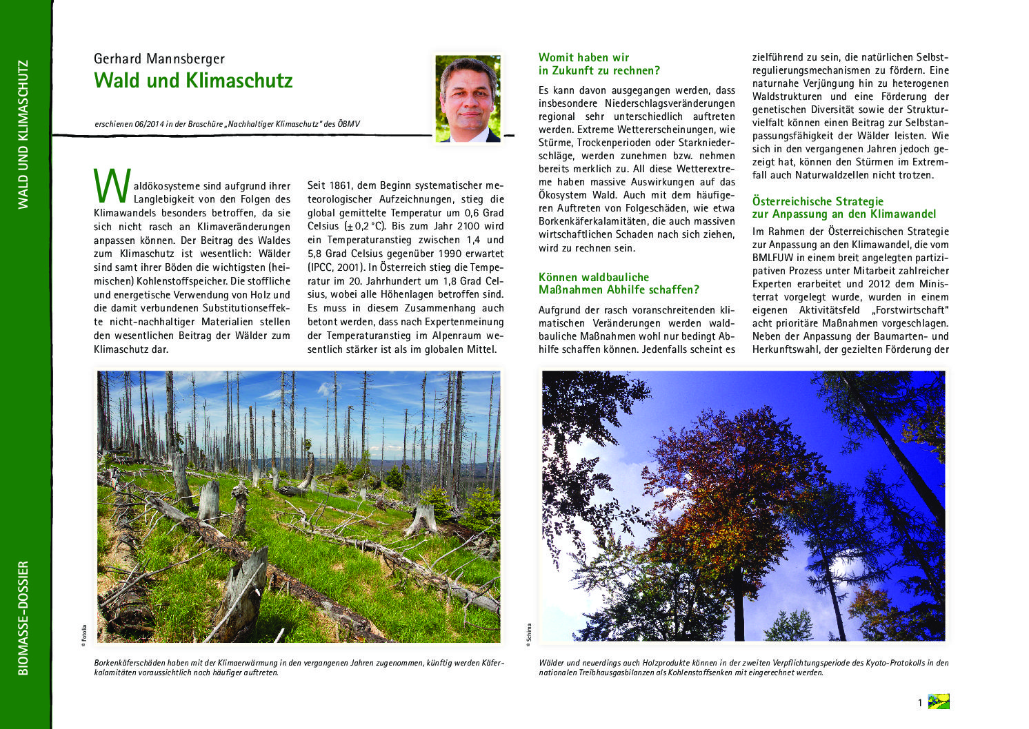 Wald und Klimaschutz