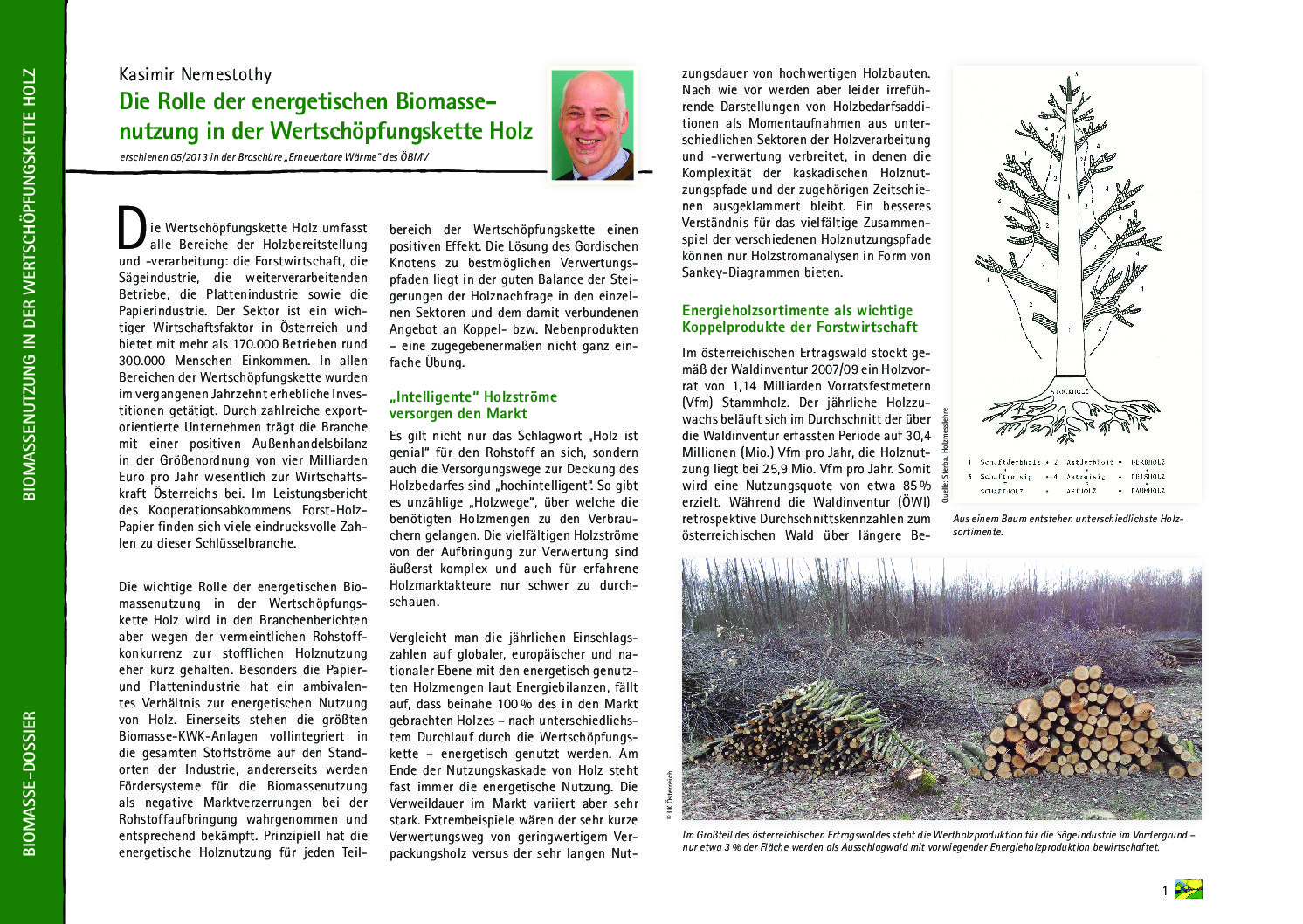 Die Rolle der energetischen Biomassenutzung in der Wertschöpfungskette Holz