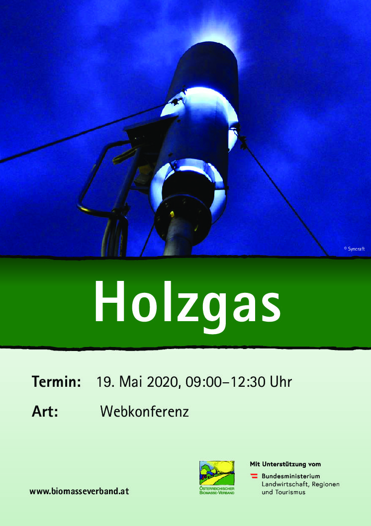 Programm_Holzgas_Webkonferenz_