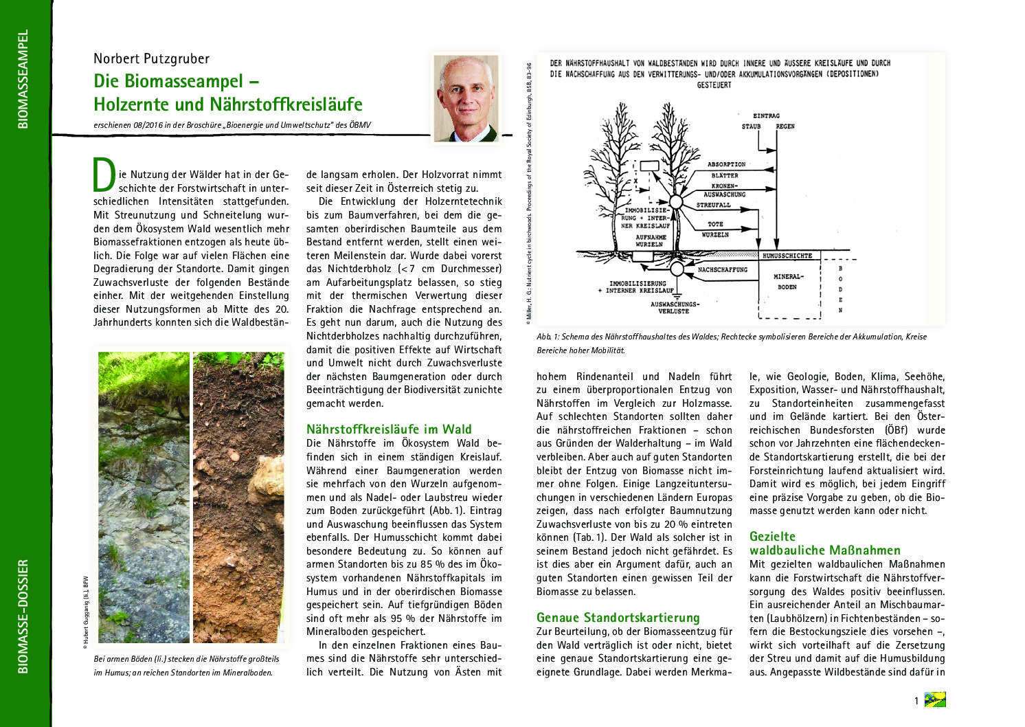 Die Biomasseampel – Holzernte und Nährstoffkreisläufe