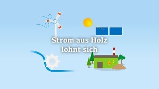 Thumbnail Strom aus Holz lohnt sich